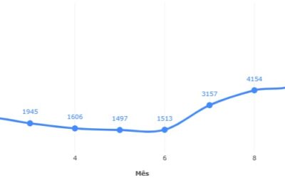 Dividir para conquistar: a força do SEO para trazer leads qualificados