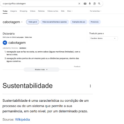 Print do snippet das informações sobre cabotagem na página de resultados