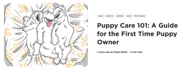 Print de um cluster de conteúdo da Petcube, mostrando a ilustração de três cachorros deitados em uma cama
