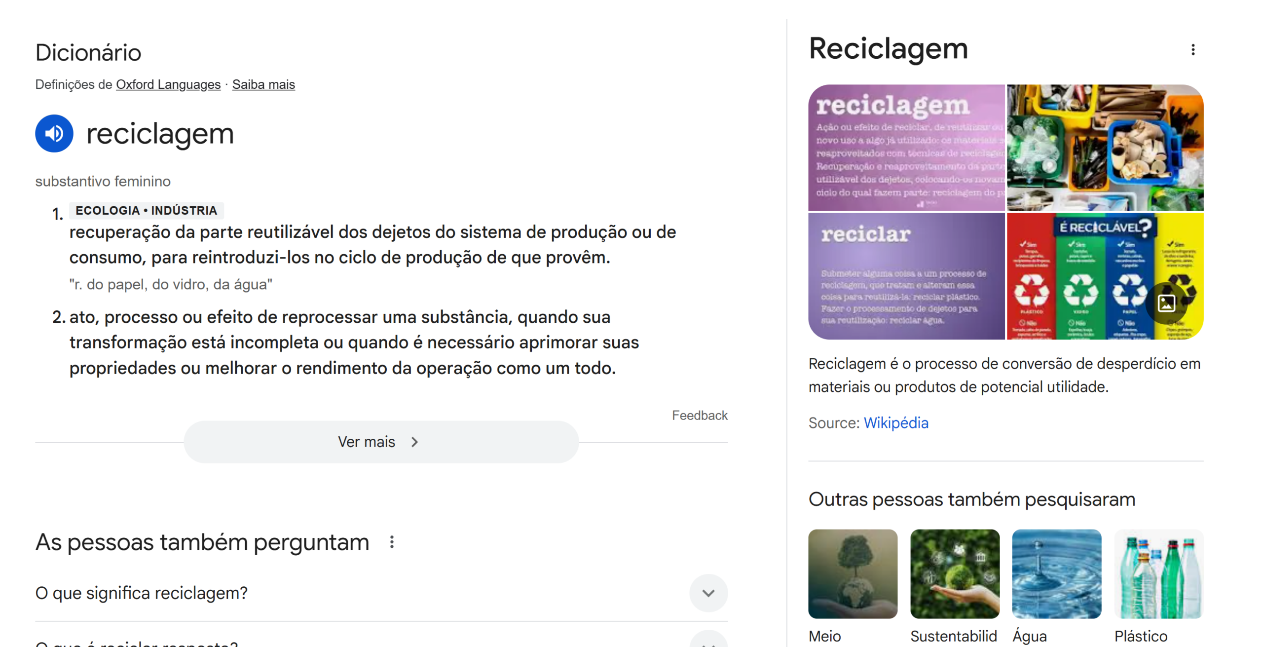 Print da continuação da pesquisa sobre reciclagem, com a SERP mostrando informações diferentes como imagens e áudio descritivo