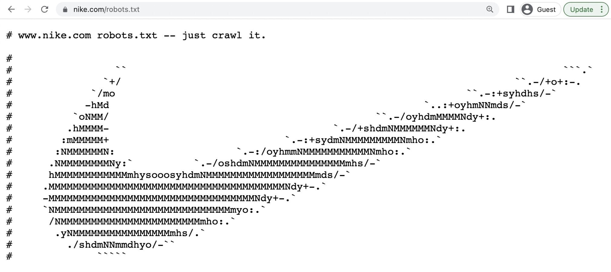 Print do Robots.txt no site da nike, onde o código simula a logo da marca